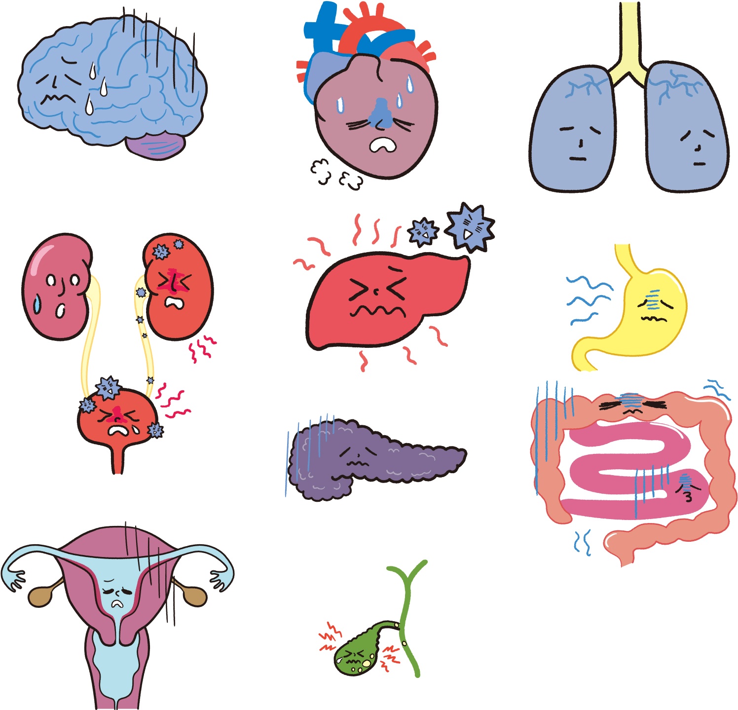 内臓の機能低下・疲労