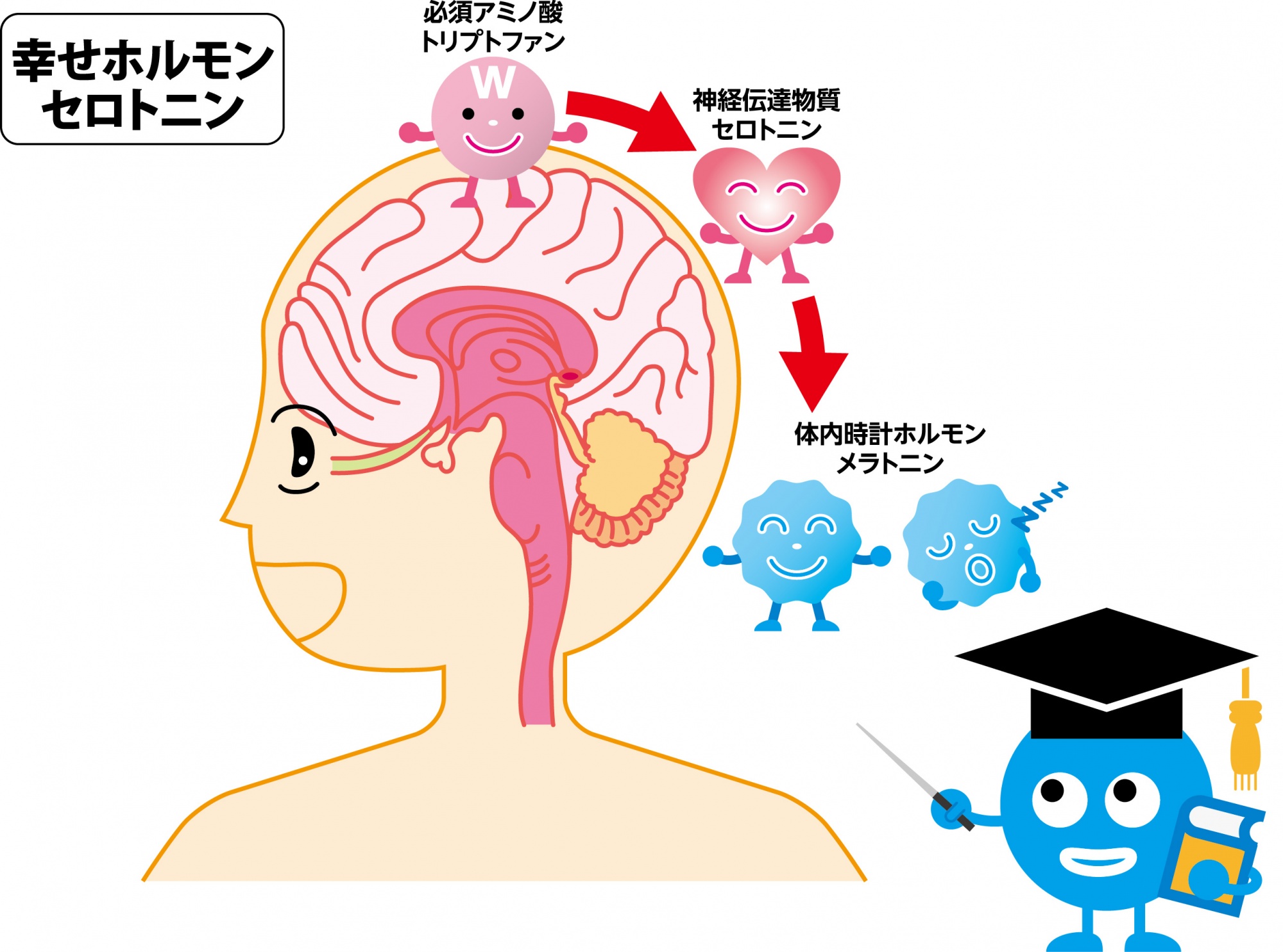 自律神経の乱れのイラスト