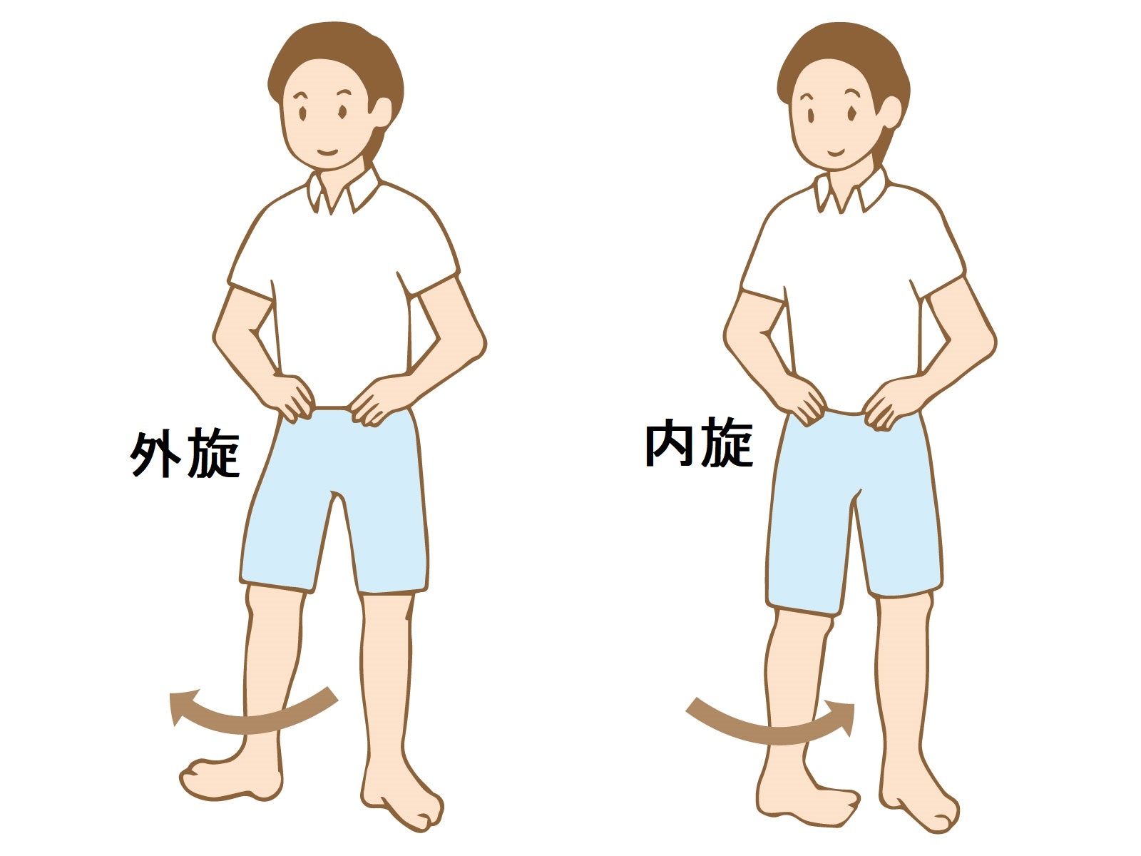股関節の内旋と外旋