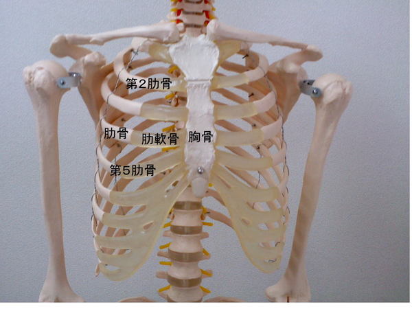 軟骨肉腫とは何ですか?