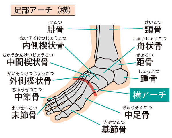 足関節.jpg