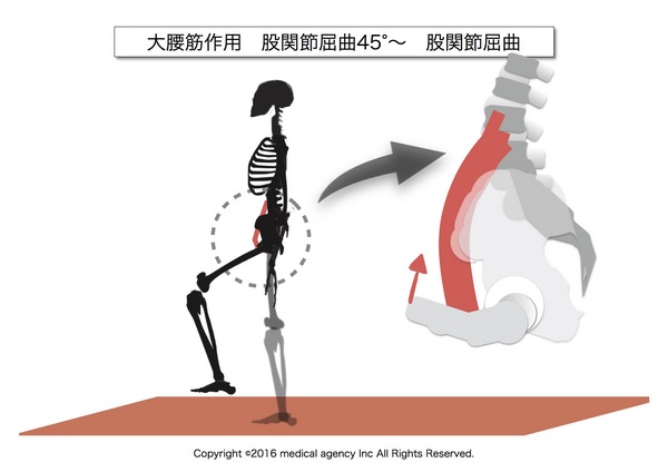 足が上がらない　痛み2.jpg